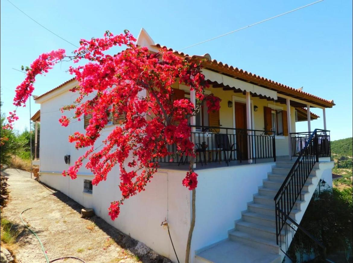 Nirvana Guest House Vasilítsion エクステリア 写真